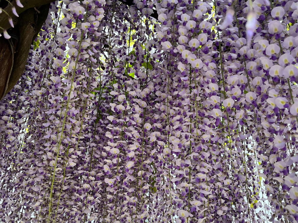 23-05-16 12-06-32 5395